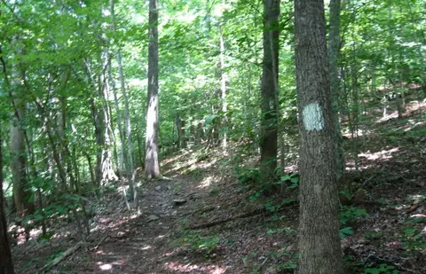 3 25 Ac Wilscott Mountain Dr, Murphy, NC 28906