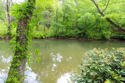 View/Area - 130 Ivy Ln, Murphy, NC 28906 photo 2 of 3