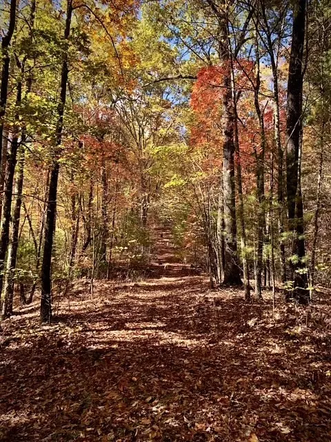 Other - 224 Pine Bough Rd, Murphy, NC 28906 photo 4 of 5