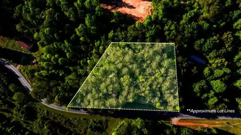 3 West Gum Log Road, Warne, NC 28909