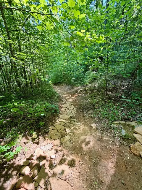 675 Ed Graves Rd, Murphy, NC 28906 photo 20