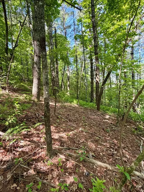 675 Ed Graves Rd, Murphy, NC 28906 photo 5