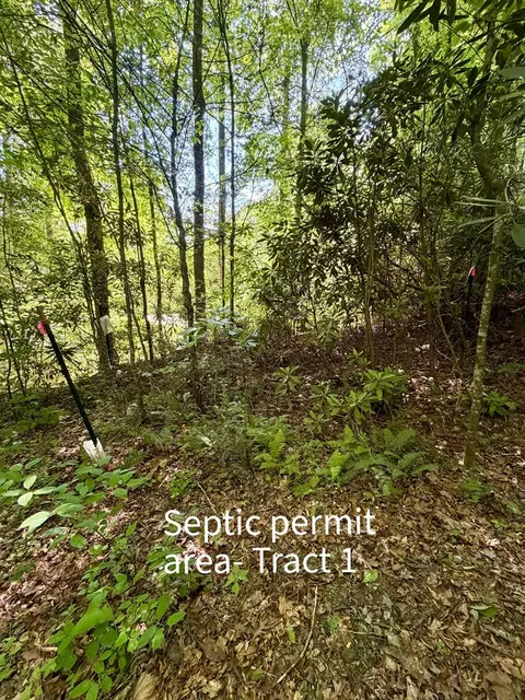675 Ed Graves Rd, Murphy, NC 28906 photo 32