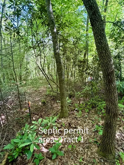 675 Ed Graves Rd, Murphy, NC 28906 photo 31