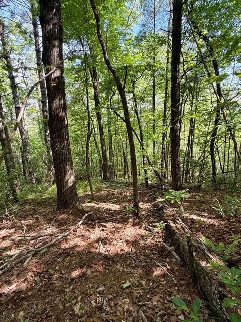 675 Ed Graves Rd, Murphy, NC 28906 photo 2