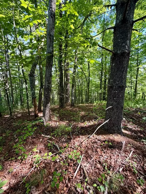 675 Ed Graves Rd, Murphy, NC 28906 photo 6