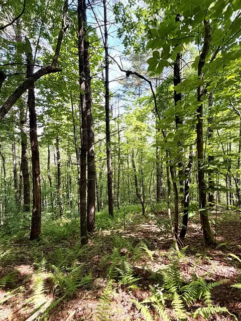 675 Ed Graves Rd, Murphy, NC 28906 photo 7