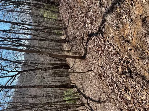 lot S Wolf Mountain Ests, Murphy, NC 28906 photo 16