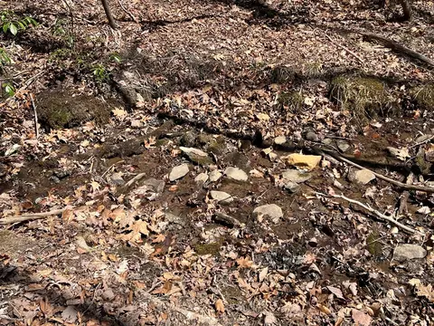 lot S Wolf Mountain Ests, Murphy, NC 28906 photo 22