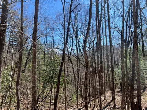 lot S Wolf Mountain Ests, Murphy, NC 28906 photo 20