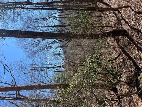 lot S Wolf Mountain Ests, Murphy, NC 28906 photo 21