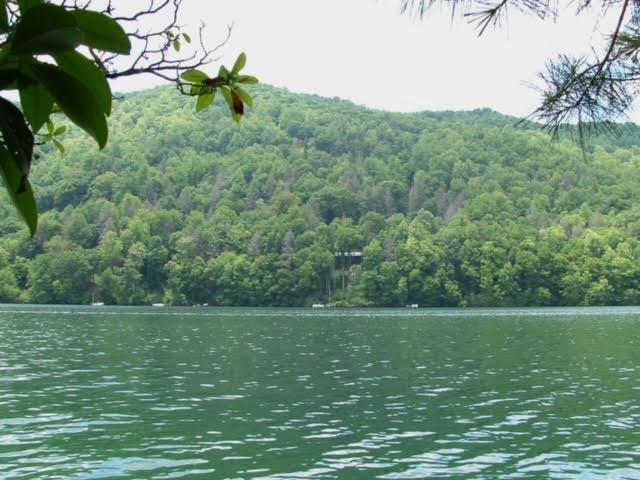 lot41 Indian Lake Dr, Topton, NC 28781
