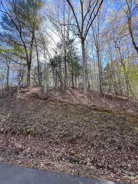 lot2 Lonesome Pne, Murphy, NC 28906 photo 2