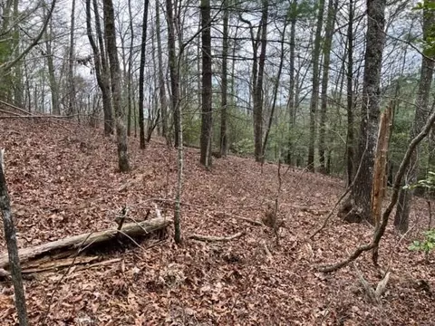lot33 Sahkanaga Dr, Murphy, NC 28906