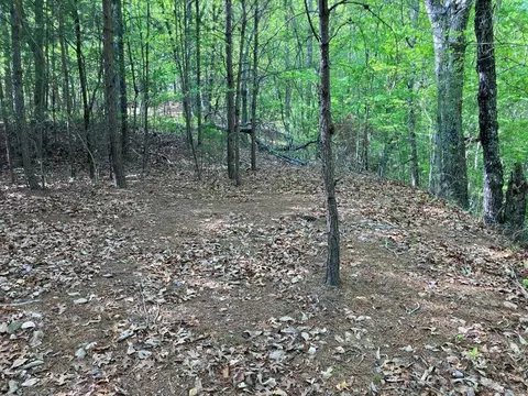 Lt24 Mission Ridge Court, Hayesville, NC 28904