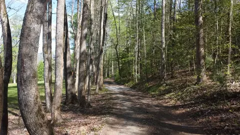 Other - 8158 Beaver Dam Rd, Murphy, NC 28906 photo 1 of 3
