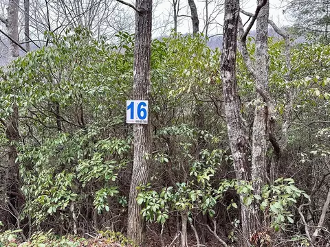 15-19 Indian Rock Spgs, Murphy, NC 28906 photo 3