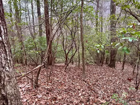 15-19 Indian Rock Spgs, Murphy, NC 28906 photo 16