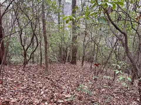 15-19 Indian Rock Spgs, Murphy, NC 28906 photo 14