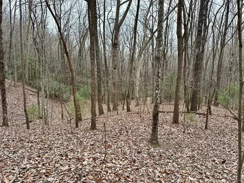 15-19 Indian Rock Spgs, Murphy, NC 28906 photo 26