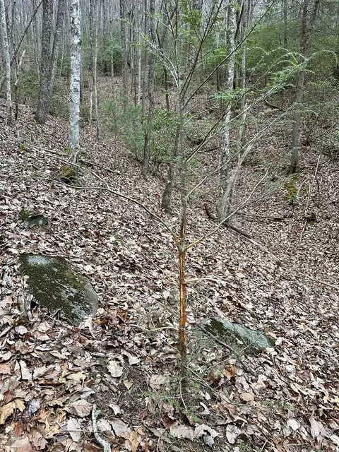 15-19 Indian Rock Spgs, Murphy, NC 28906 photo 32
