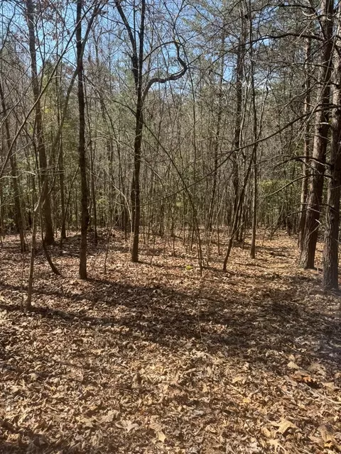 00 Blue Ridge Hts, Hayesville, NC 28906 photo 8