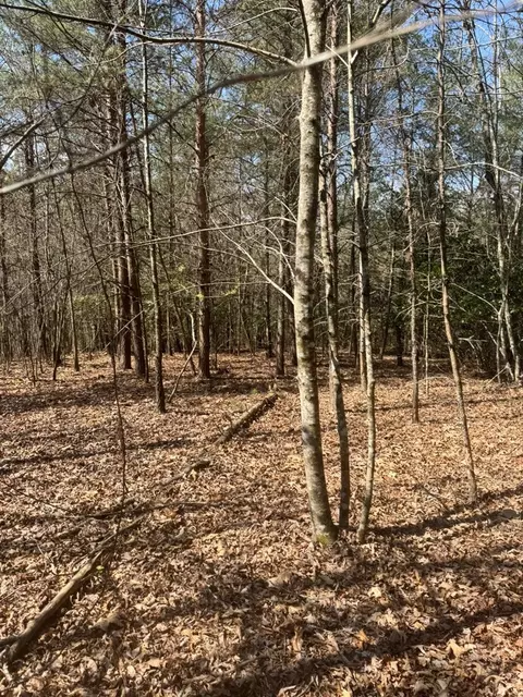 00 Blue Ridge Hts, Hayesville, NC 28906 photo 6