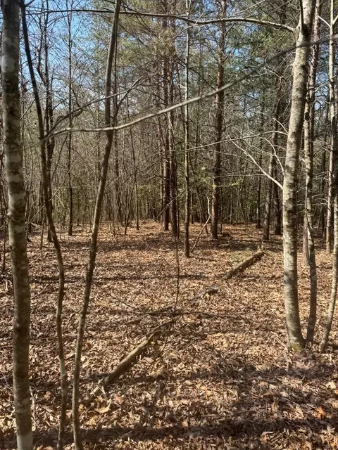 00 Blue Ridge Hts, Hayesville, NC 28906 photo 7