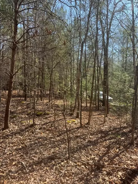 00 Blue Ridge Hts, Hayesville, NC 28906 photo 10