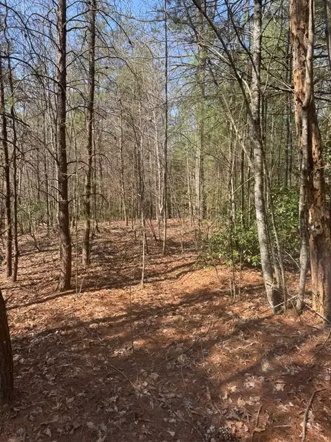 00 Blue Ridge Hts, Hayesville, NC 28906 photo 5