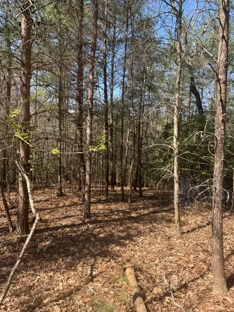 00 Blue Ridge Hts, Hayesville, NC 28906 photo 9