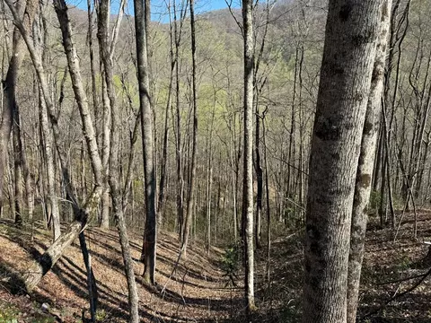 tbd Clearview, Murphy, NC 28906 photo 25