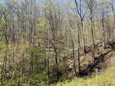 tbd Clearview, Murphy, NC 28906 photo 8