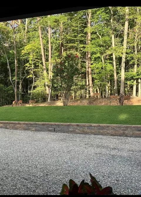Exterior - 206 Hedden Rd, Murphy, NC 28906 photo 3 of 3
