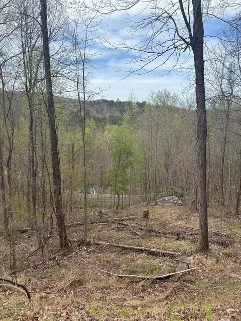 lot4 Buck Ridge Dr, Murphy, NC 28906