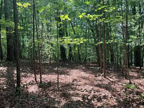 5 Birds View Ln, Murphy, NC 28906 photo 12
