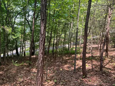 5 Birds View Ln, Murphy, NC 28906 photo 15