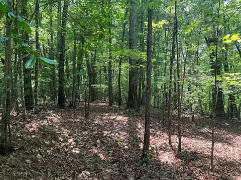5 Birds View Ln, Murphy, NC 28906 photo 13