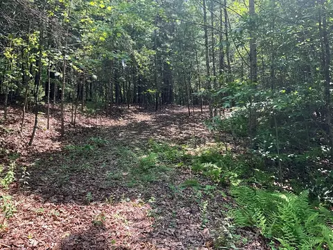 5 Birds View Ln, Murphy, NC 28906 photo 7