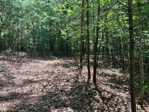 5 Birds View Ln, Murphy, NC 28906 photo 9