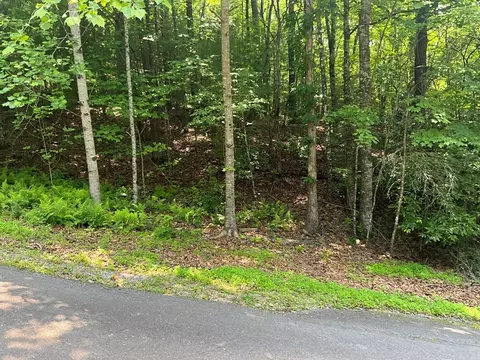 5 Birds View Ln, Murphy, NC 28906 photo 3
