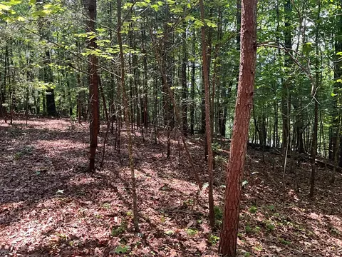 5 Birds View Ln, Murphy, NC 28906 photo 11