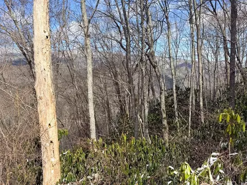tbd Noon Day, Nantahala, NC 28781