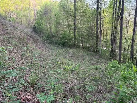 0 Yellow Branch State Rd1267, Robbinsville, NC 28771