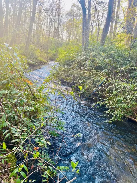 lot5 Carringer Rd, Robbinsville, NC 28771
