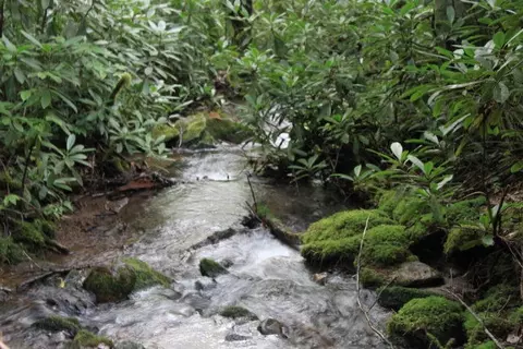 9 Lots Gold Creek Rd, Nantahala, NC 28781