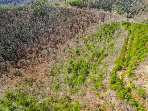 13 Acres American Eagle Rd, Murphy, NC 28906 photo 2