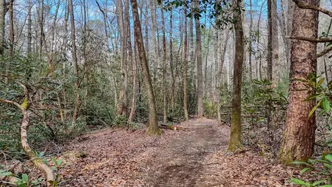 Other - 520 Farmer Dr, Murphy, NC 28906 photo 27 of 31