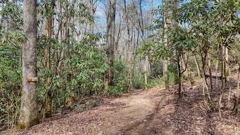 Other - 520 Farmer Dr, Murphy, NC 28906 photo 26 of 31