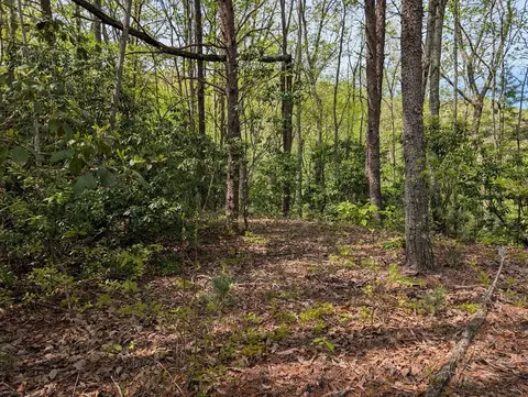 348 Atali Cir, Murphy, NC 28906 photo 6